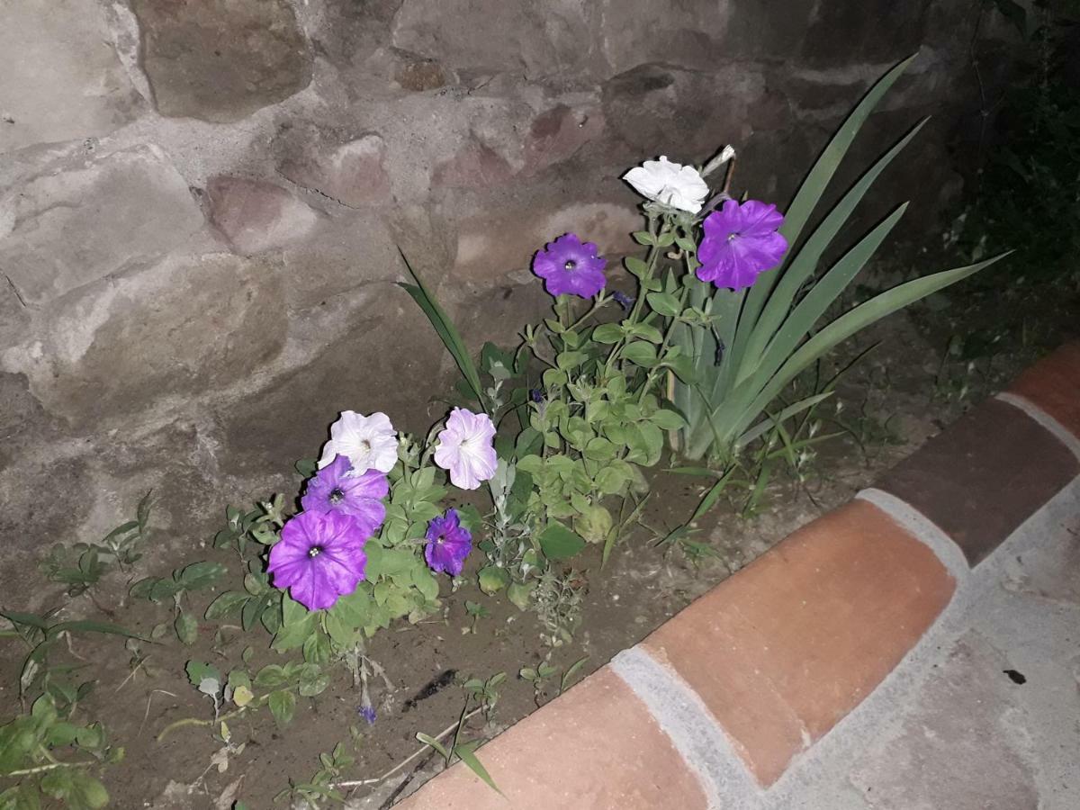 Hotel Rabati Akhaltsikhe  Εξωτερικό φωτογραφία